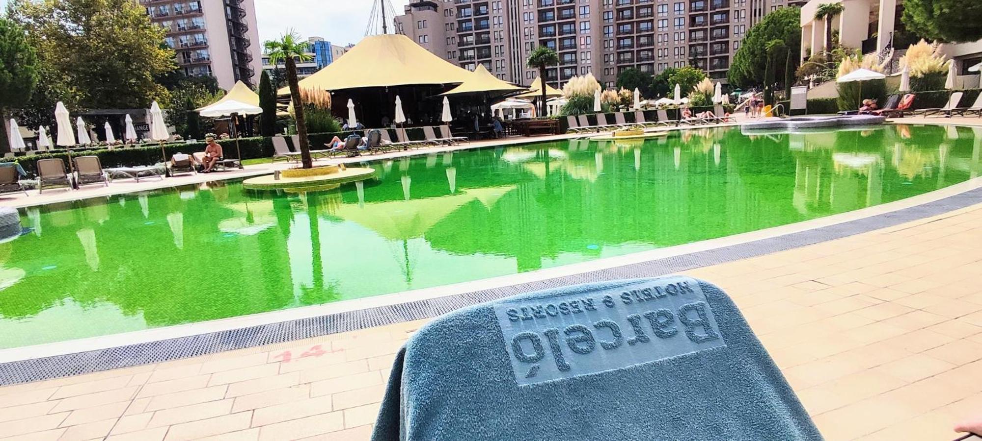Apartment Pool View