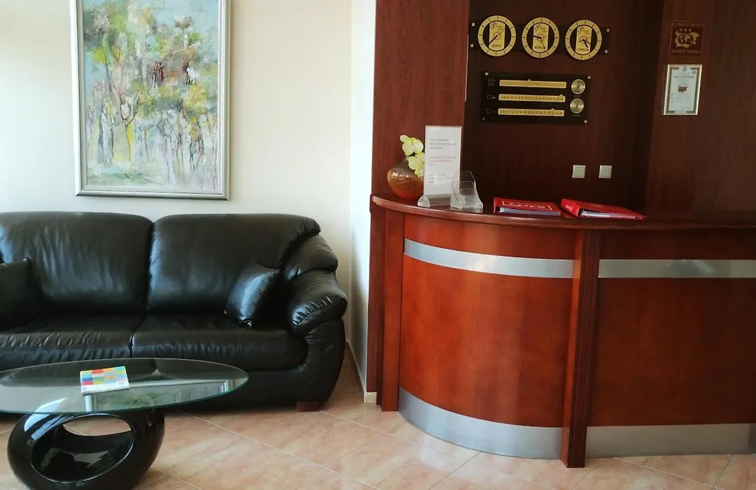 Sunny Flower Family Hotel-1