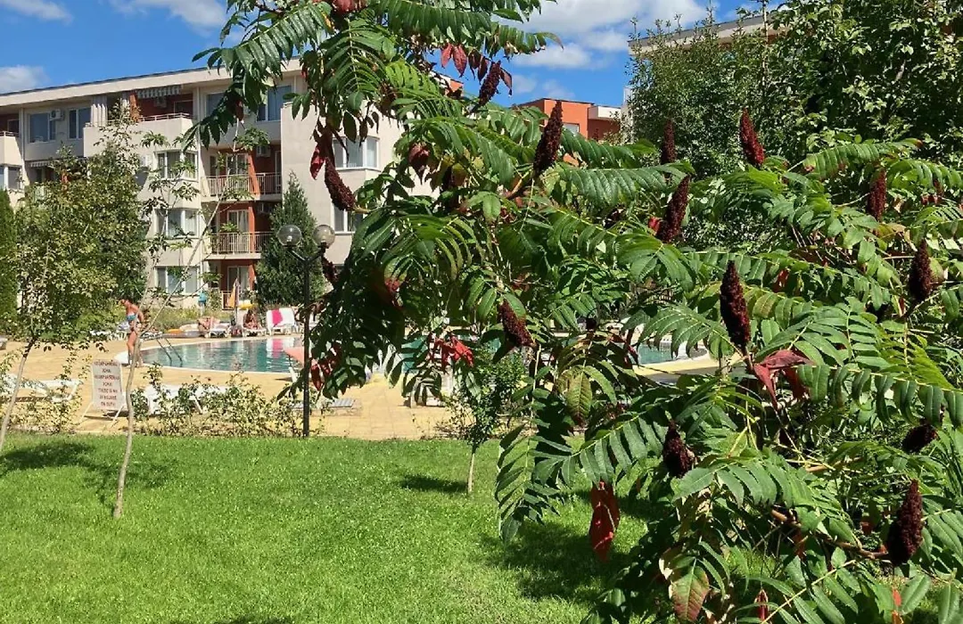 Apartment In Nessebar Fort Club-1